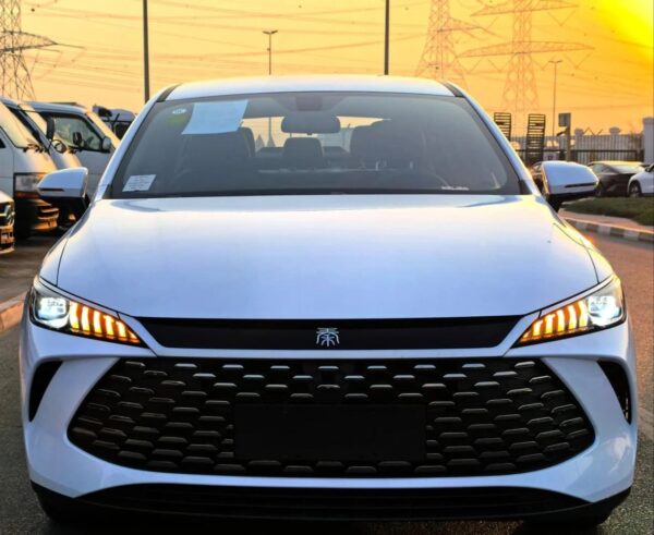 BYD QIN (PLUG IN HYBRID)